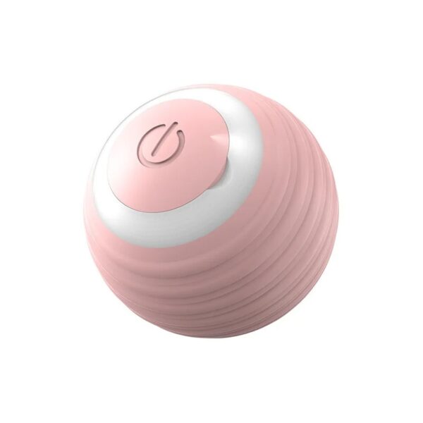 Cat Toy Balls – Interactive Play for Cats - Image 8
