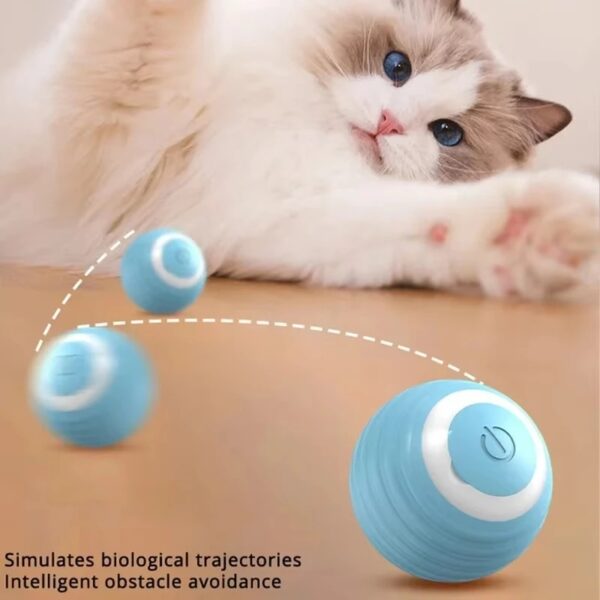 Cat Toy Balls – Interactive Play for Cats