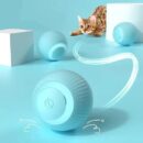Cat Toy Balls – Interactive Play for Cats