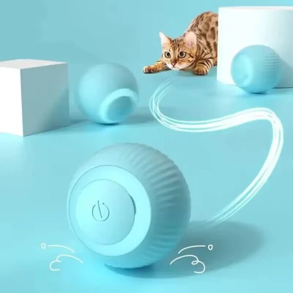 Cat Toy Balls – Interactive Play for Cats - Image 6
