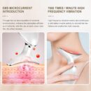 Wrinkle Removal Device for Neck & Face – MicroGlow Portable Handset